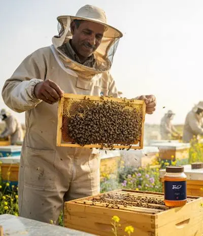 أسرار خلية النحل: الملكة والشغالات والذكور في مملكة العسل