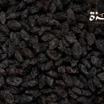 زبيب اسود دماجي