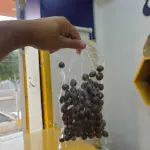 جعالة العيد العرض الاول